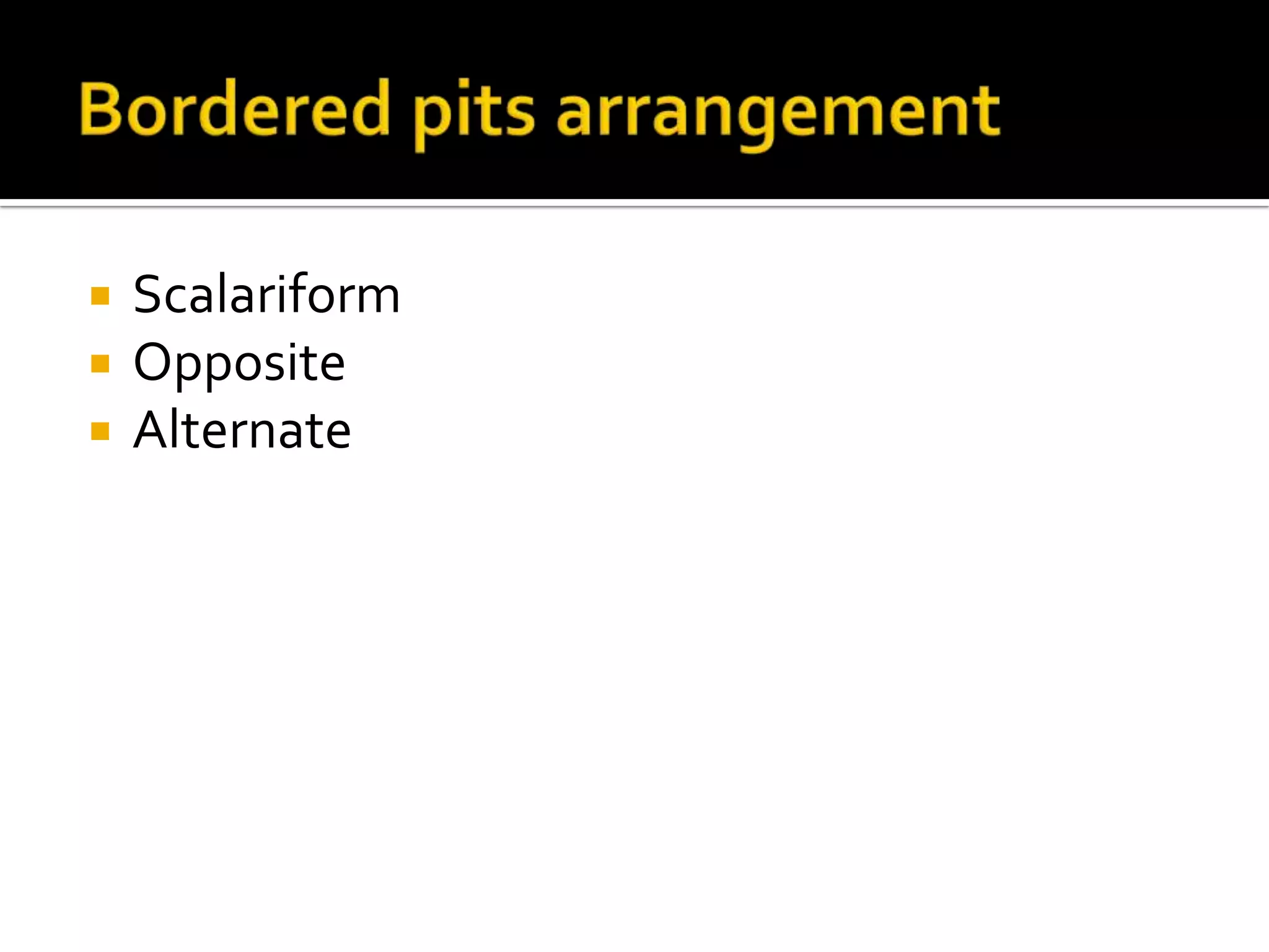 Bordered pits arrangementScalariformOppositeAlternate 