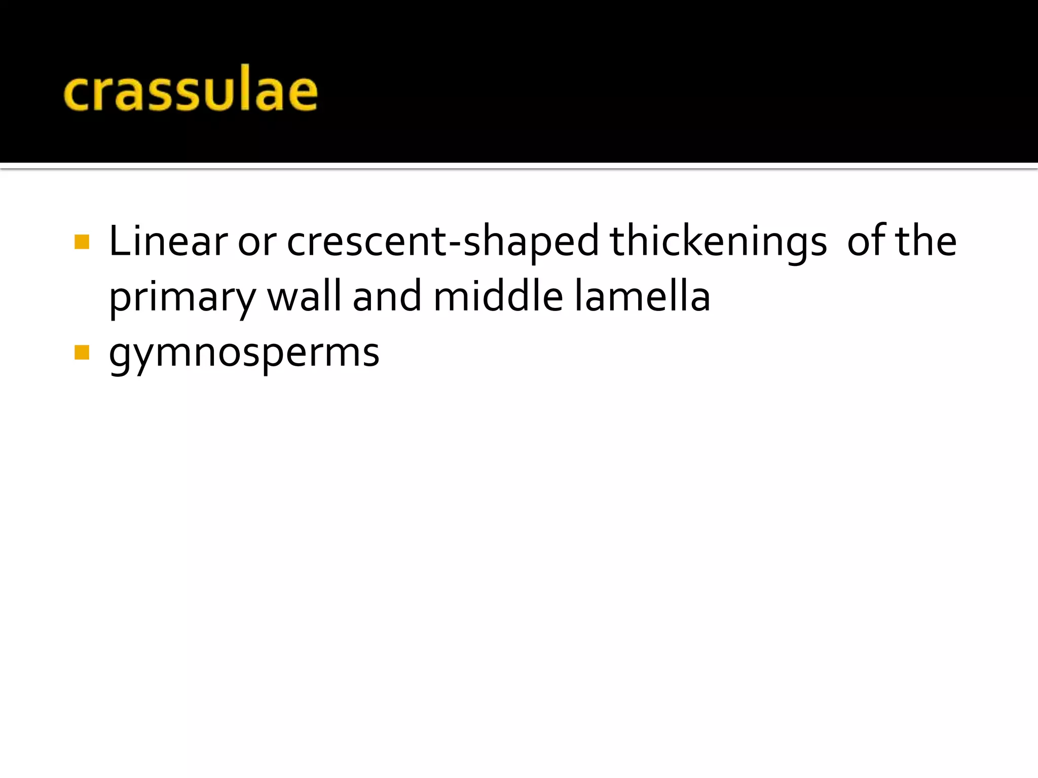 crassulaeLinear or crescent-shaped thickenings  of the primary wall and middle lamellagymnosperms