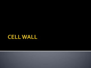 CELL WALL 