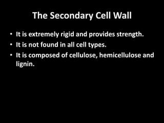 The Secondary Cell Wall
• It is extremely rigid and provides strength.
• It is not found in all cell types.
• It is composed of cellulose, hemicellulose and
lignin.
 