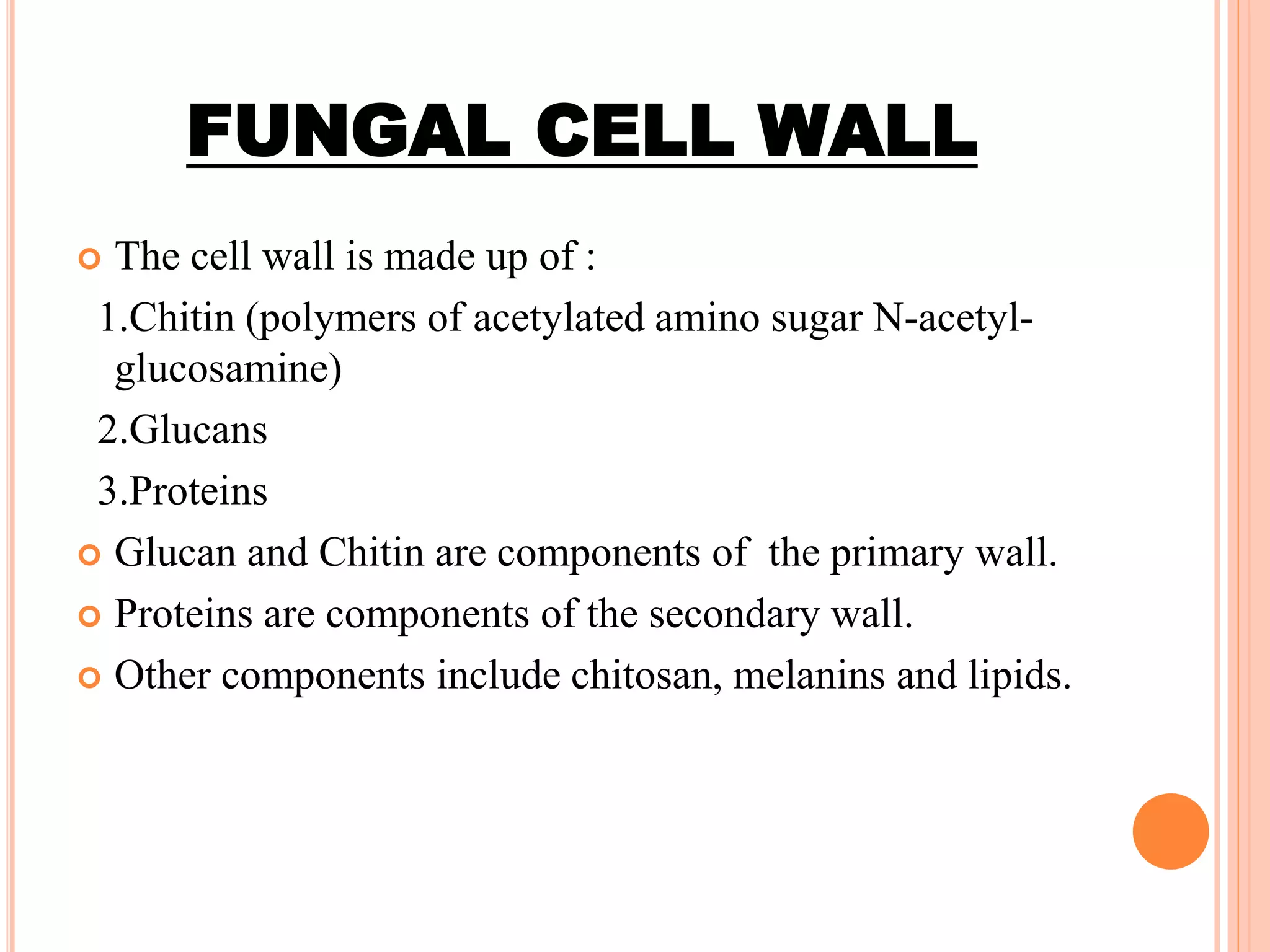 FUNGAL CELL WALL
 The cell wall is made up of :
1.Chitin (polymers of acetylated amino sugar N-acetyl-
glucosamine)
2.Glucans
3.Proteins
 Glucan and Chitin are components of the primary wall.
 Proteins are components of the secondary wall.
 Other components include chitosan, melanins and lipids.
 