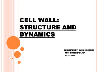 CELL WALL:
STRUCTURE AND
DYNAMICS
SUBMITTED BY: SURBHI SHARMA
MSC. BIOTECHNOLOGY
171014002
 