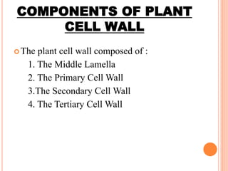 COMPONENTS OF PLANT
CELL WALL
The plant cell wall composed of :
1. The Middle Lamella
2. The Primary Cell Wall
3.The Secondary Cell Wall
4. The Tertiary Cell Wall
 