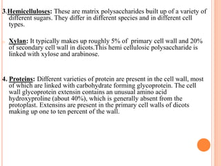 3.Hemicelluloses: These are matrix polysaccharides built up of a variety of
different sugars. They differ in different species and in different cell
types.
o Xylan: It typically makes up roughly 5% of primary cell wall and 20%
of secondary cell wall in dicots.This hemi cellulosic polysaccharide is
linked with xylose and arabinose.
4. Proteins: Different varieties of protein are present in the cell wall, most
of which are linked with carbohydrate forming glycoprotein. The cell
wall glycoprotein extensin contains an unusual amino acid
hydroxyproline (about 40%), which is generally absent from the
protoplast. Extensins are present in the primary cell walls of dicots
making up one to ten percent of the wall.
 