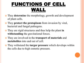 FUNCTIONS OF CELL
WALL
 They determine the morphology, growth and development
of plant cells.
 They protect the protoplasm from invasion by viral,
bacterial and fungal pathogens.
 They are rigid structures and thus help the plant in
withstanding the gravitational forces.
 They are involved in the transport of materials and
metabolites into and out of cell.
 They withstand the turgor pressure which develops within
the cells due to high osmotic pressure.
 