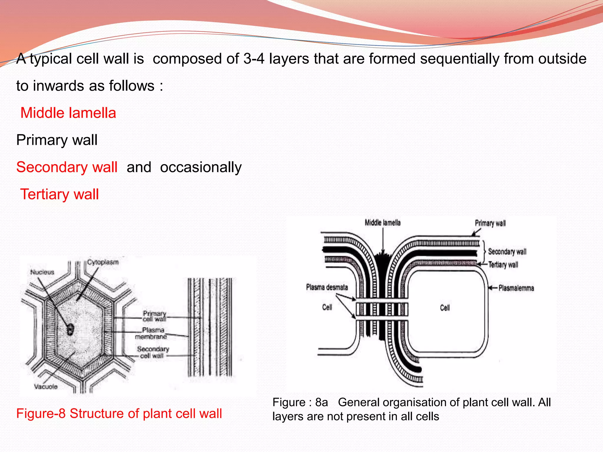 Cell wall | PPTX