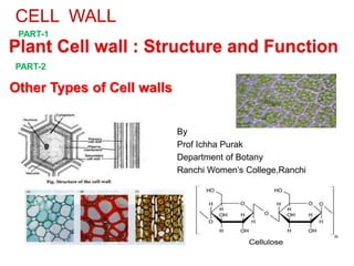 By
Prof Ichha Purak
Department of Botany
Ranchi Women’s College,Ranchi
CELL WALL
PART-1
PART-2
Other Types of Cell walls
 