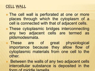 Cell wall structure and functions | PPTX