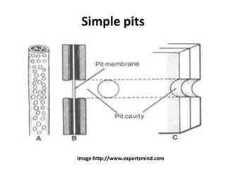 Simple pits
Image:http://www.expertsmind.com
 