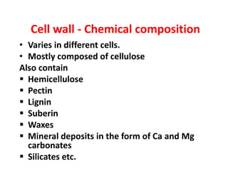 Cell wall - Chemical composition
• Varies in different cells.
• Mostly composed of cellulose
Also contain
 Hemicellulose
 Pectin
 Lignin
 Suberin
 Waxes
 Mineral deposits in the form of Ca and Mg
carbonates
 Silicates etc.
 