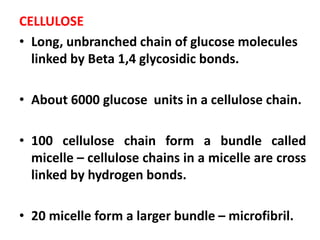 CELLULOSE
• Long, unbranched chain of glucose molecules
linked by Beta 1,4 glycosidic bonds.
• About 6000 glucose units in a cellulose chain.
• 100 cellulose chain form a bundle called
micelle – cellulose chains in a micelle are cross
linked by hydrogen bonds.
• 20 micelle form a larger bundle – microfibril.
 