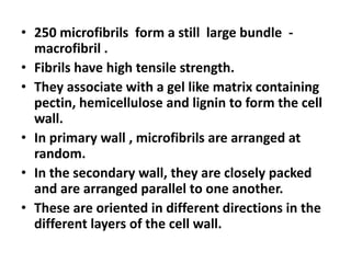 • 250 microfibrils form a still large bundle -
macrofibril .
• Fibrils have high tensile strength.
• They associate with a gel like matrix containing
pectin, hemicellulose and lignin to form the cell
wall.
• In primary wall , microfibrils are arranged at
random.
• In the secondary wall, they are closely packed
and are arranged parallel to one another.
• These are oriented in different directions in the
different layers of the cell wall.
 