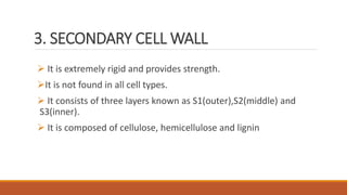Cell wall | PPT