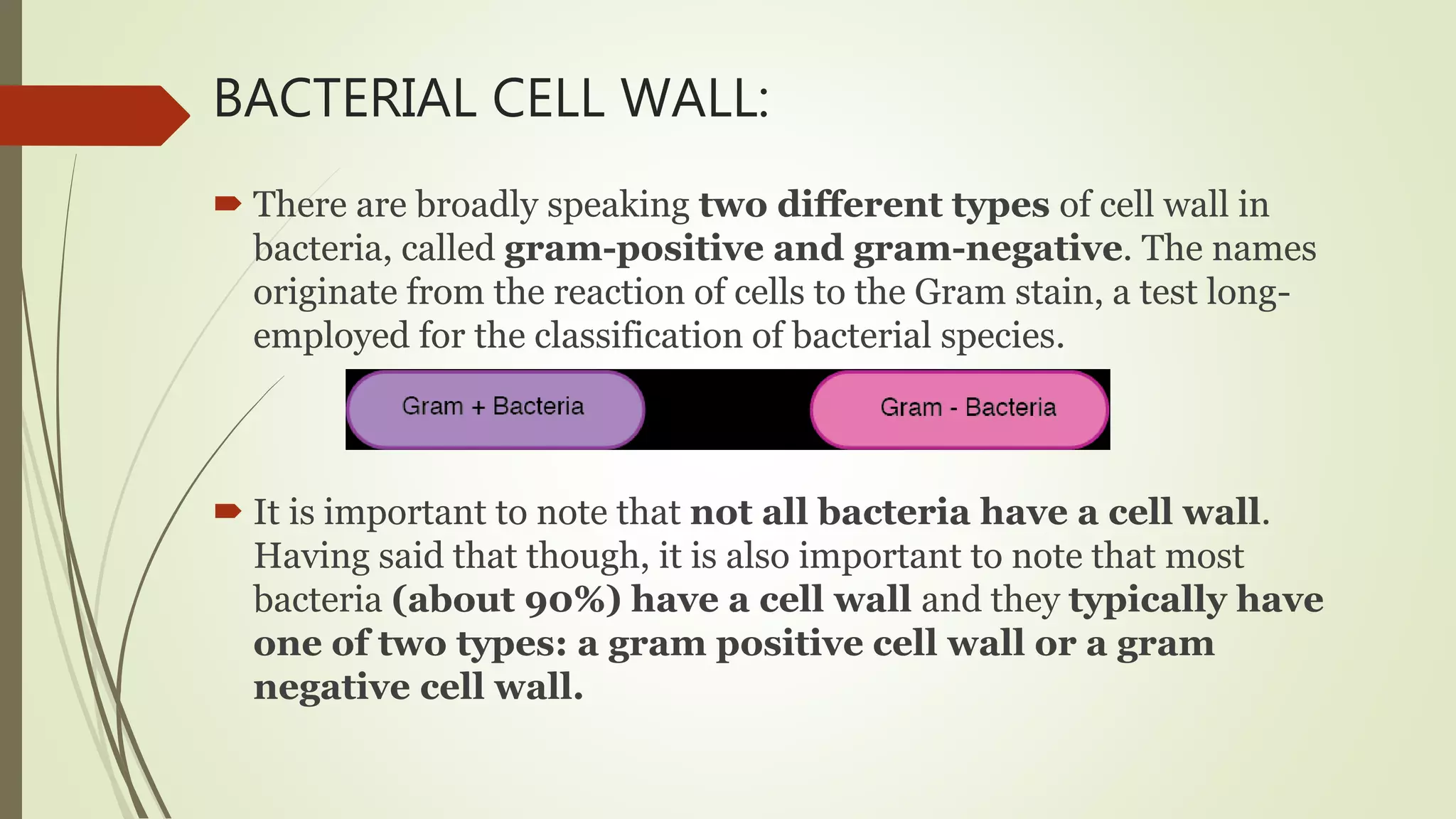 BACTERIAL CELL WALL:
 There are broadly speaking two different types of cell wall in
bacteria, called gram-positive and gram-negative. The names
originate from the reaction of cells to the Gram stain, a test long-
employed for the classification of bacterial species.
 It is important to note that not all bacteria have a cell wall.
Having said that though, it is also important to note that most
bacteria (about 90%) have a cell wall and they typically have
one of two types: a gram positive cell wall or a gram
negative cell wall.
 