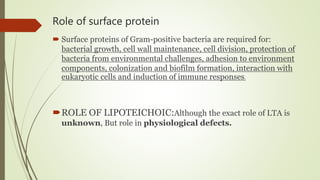 Role of surface protein
 Surface proteins of Gram-positive bacteria are required for:
bacterial growth, cell wall maintenance, cell division, protection of
bacteria from environmental challenges, adhesion to environment
components, colonization and biofilm formation, interaction with
eukaryotic cells and induction of immune responses.
ROLE OF LIPOTEICHOIC:Although the exact role of LTA is
unknown, But role in physiological defects.
 