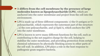  It differs from the cell membrane by the presence of large
molecules known as lipopolysaccharide (LPS), which are
anchored into the outer membrane and project from the cell into the
environment.
 LPS is made up of three different components: 1) the O-antigen or O-
polysaccharide, which represents the outermost part of the structure
, 2) the core polysaccharide, and 3) lipid A, which anchors the LPS
into the outer membrane.
 LPS is known to serve many different functions for the cell, such as
contributing to the net negative charge for the cell, helping to
stabilize the outer membrane, and providing protection from certain
chemical substances by physically blocking access to other parts of
the cell wall. In addition, LPS plays a role in the host response to
pathogenic gram negative bacteria.
 