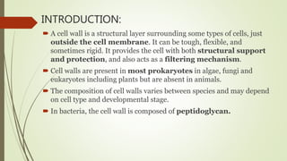 INTRODUCTION:
 A cell wall is a structural layer surrounding some types of cells, just
outside the cell membrane. It can be tough, flexible, and
sometimes rigid. It provides the cell with both structural support
and protection, and also acts as a filtering mechanism.
 Cell walls are present in most prokaryotes in algae, fungi and
eukaryotes including plants but are absent in animals.
 The composition of cell walls varies between species and may depend
on cell type and developmental stage.
 In bacteria, the cell wall is composed of peptidoglycan.
 