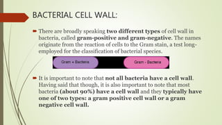 BACTERIAL CELL WALL:
 There are broadly speaking two different types of cell wall in
bacteria, called gram-positive and gram-negative. The names
originate from the reaction of cells to the Gram stain, a test long-
employed for the classification of bacterial species.
 It is important to note that not all bacteria have a cell wall.
Having said that though, it is also important to note that most
bacteria (about 90%) have a cell wall and they typically have
one of two types: a gram positive cell wall or a gram
negative cell wall.
 