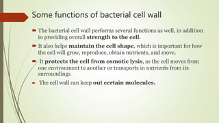 Some functions of bacterial cell wall
 The bacterial cell wall performs several functions as well, in addition
to providing overall strength to the cell.
 It also helps maintain the cell shape, which is important for how
the cell will grow, reproduce, obtain nutrients, and move.
 It protects the cell from osmotic lysis, as the cell moves from
one environment to another or transports in nutrients from its
surroundings.
 The cell wall can keep out certain molecules.
 