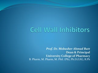 Prof. Dr. Mobasher Ahmad Butt
Dean & Principal
University College of Pharmacy
B. Pharm, M. Pharm, M. Phil. (Pb), Ph.D.(UK), R.Ph
 