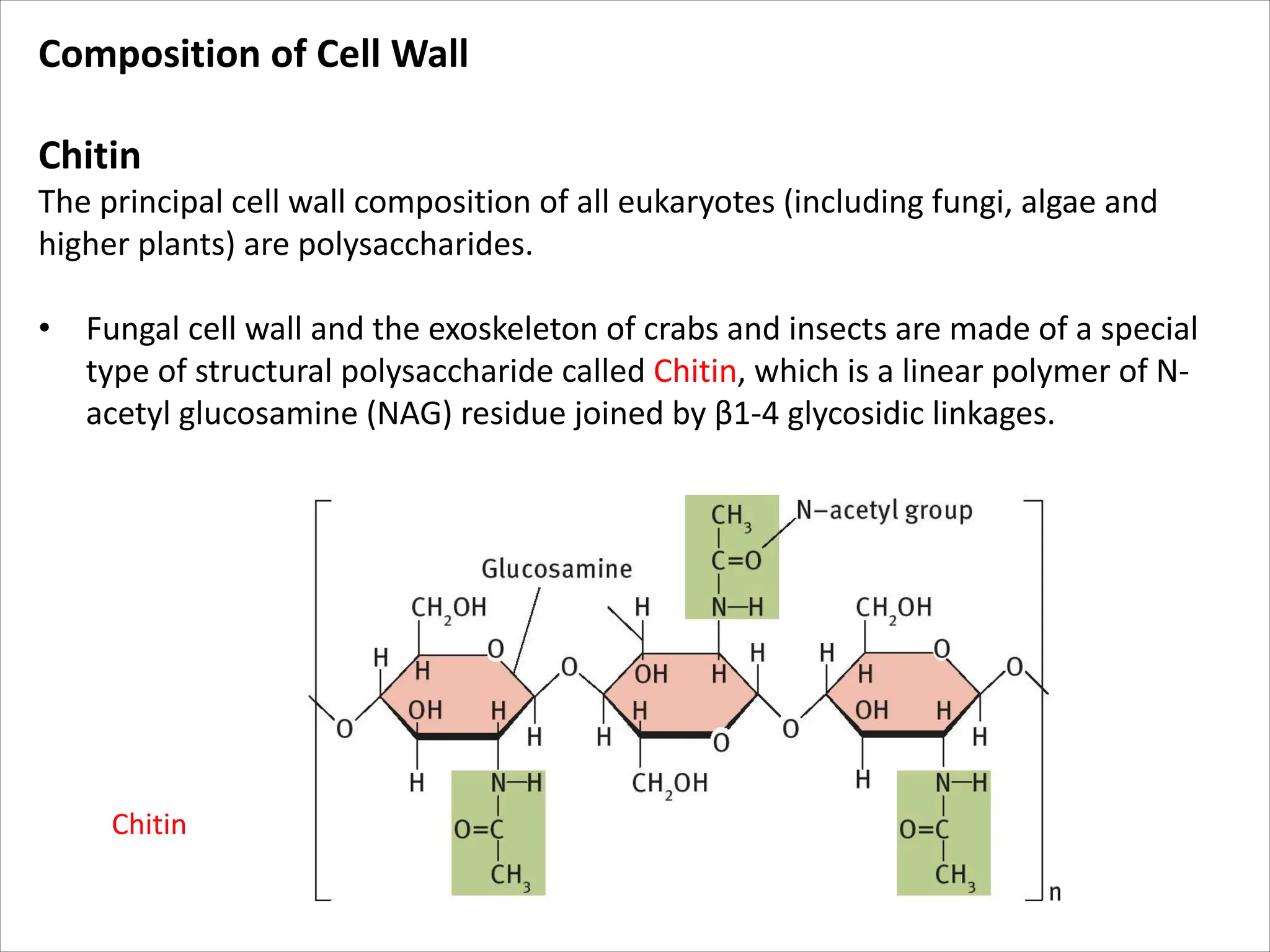 Composition of Cell Wall
Chitin
The principal cell wall composition of all eukaryotes (including fungi, algae and
higher plants) are polysaccharides.
• Fungal cell wall and the exoskeleton of crabs and insects are made of a special
type of structural polysaccharide called Chitin, which is a linear polymer of N-
acetyl glucosamine (NAG) residue joined by β1-4 glycosidic linkages.
Chitin
 