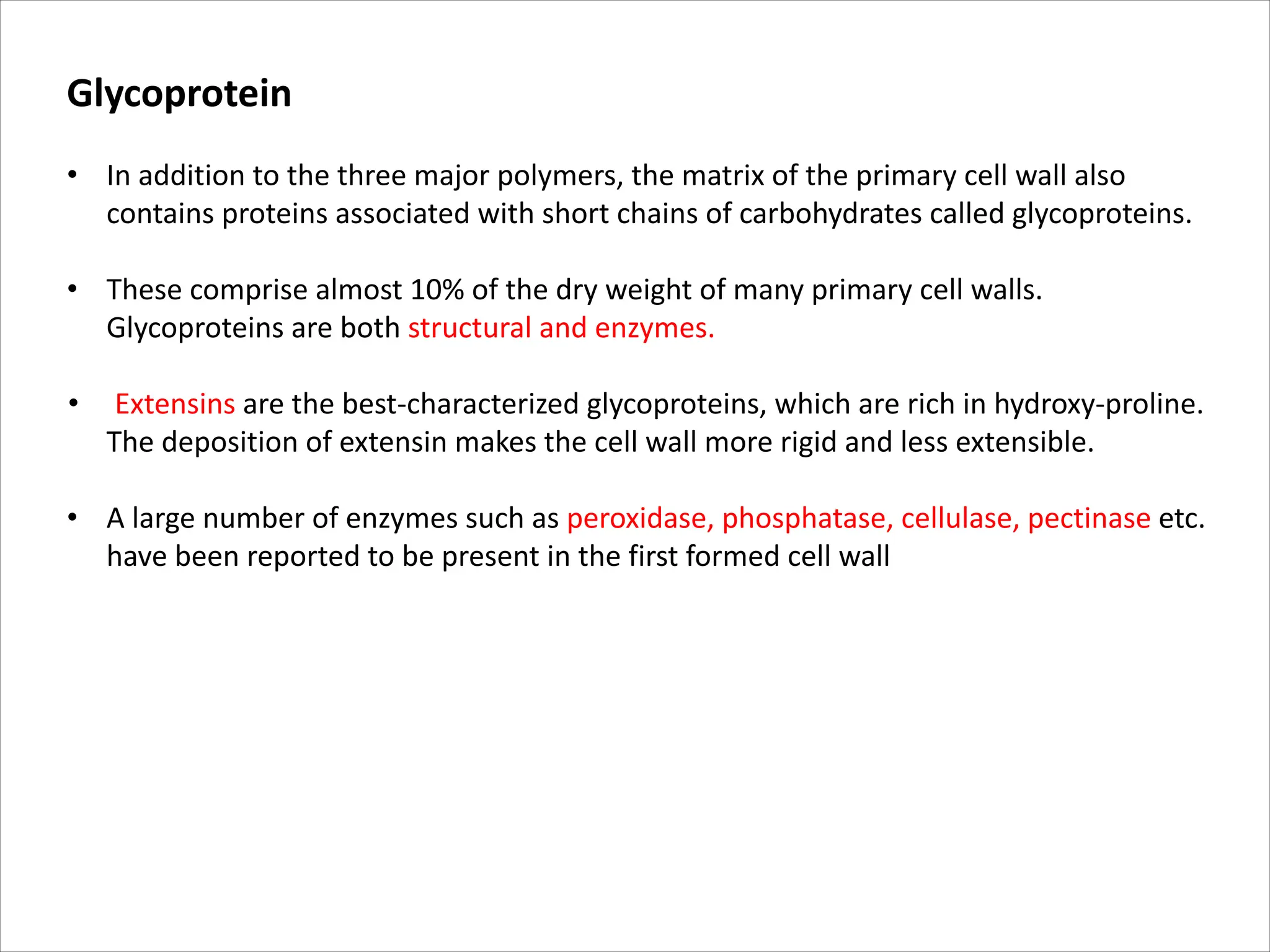 Glycoprotein
• In addition to the three major polymers, the matrix of the primary cell wall also
contains proteins associated with short chains of carbohydrates called glycoproteins.
• These comprise almost 10% of the dry weight of many primary cell walls.
Glycoproteins are both structural and enzymes.
• Extensins are the best-characterized glycoproteins, which are rich in hydroxy-proline.
The deposition of extensin makes the cell wall more rigid and less extensible.
• A large number of enzymes such as peroxidase, phosphatase, cellulase, pectinase etc.
have been reported to be present in the first formed cell wall
 