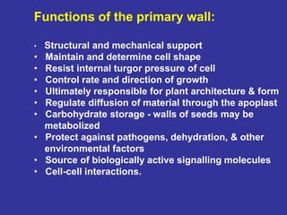 Cell Wall-I.ppt