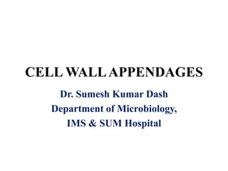 CELL WALLAPPENDAGES
Dr. Sumesh Kumar Dash
Department of Microbiology,
IMS & SUM Hospital
 