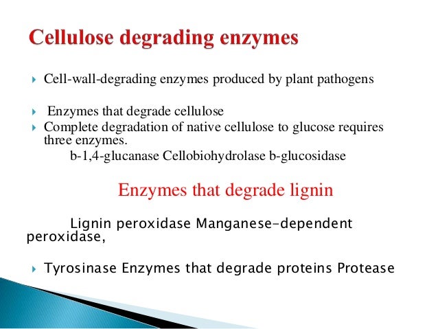 Plant Cell Wall And Its Role In Defense Mechanism
