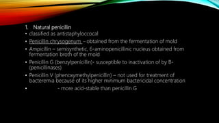 1. Natural penicillin
• classified as antistaphyloccocal
• Penicillin chrysogenum – obtained from the fermentation of mold
• Ampicillin – semisynthetic, 6-aminopenicillinic nucleus obtained from
fermentation broth of the mold
• Penicillin G (benzylpenicillin)- susceptible to inactivation of by B-
(penicillinases)
• Penicillin V (phenoxymethylpenicillin) – not used for treatment of
bacteremia because of its higher minimum bactericidal concentration
• - more acid-stable than penicillin G
 