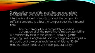 2. Absorption- most of the penicillins are incompletely
absorbed after oral administration, and they reach the
intestine in sufficient amounts to affect the composition in
sufficient amounts to affect the compositionof the intestinal
flora
- however amoxicillin, is completely absorbed
- absorption of all the penicillinase-resistant penicillins
is decreased by food in the stomach, because gastric
emptying time is lengthened, and the drugs are destroyed in
the acidic environment (should be administered 30-60
minutes before meals or 2-3 hours postprandially)
 