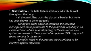 3. Distribution – the beta lactam antibiotics distribute well
throughout the body
- all the penicillins cross the placental barrier, but none
has been shown to be teratogenic,
- during the acute phase of infection, the inflamed
meninges are more permeable to the penicillins, resulting in an
increased ratio of the amount of drug in the central nervous
system compared to the amount of drug in the CNS compared
to the amount in the serum
- penicillin levels in the prostate are insufficient to be
effective against infections
 
