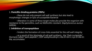 1. Penicillin-binding proteins (PBPs)
- these do not only prevent cell wall synthesis but also lead to
morphologic changes or lysis of susceptible bacterial
- Alteration in some of these target molecules provide the organism with
resistance to the penicillins, such as Methicillin-resistant Staphylococcus aureus
(MRSA)
2. Inhibition of transpeptidase
- hinders the formation of cross-links essential for the cell wall integrity.
- as a result of this blockade of cell wall synthesis , the “Park nucleotide”
(formerly called “park peptide”), UDP-acetylmuramyl-L-Ala-D-Gln-L-Lys-D-Ala-D-
Ala, accumulates
 