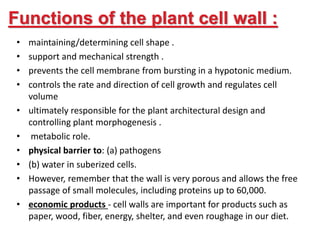 cal mag for plants FoxFarm Cal-Mag (1 qt) main image 1