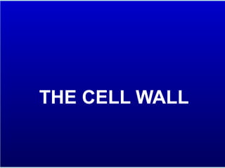 THE CELL WALL
 