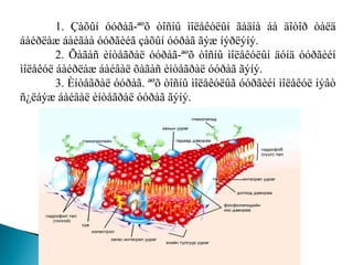1. Çàõûí óóðàã-ªºõ òîñíû ìîëåêóëûí ãàäíà áà äîòîð òàëä áàéðëàæ áàéãàà óóðãèéã çàõûí óóðàã ãýæ íýðëýíý. 2. Õàãàñ èíòåãðàë óóðàã-ªºõ òîñíû ìîëåêóëûí äóíä óóðãèéí ìîëåêóë áàéðëàæ áàéâàë õàãàñ èíòåãðàë óóðàã ãýíý.  3. Èíòåãðàë óóðàã. ªºõ òîñíû ìîëåêóëûã óóðãèéí ìîëåêóë íýâò ñ¿ëáýæ áàéâàë èíòåãðàë óóðàã ãýíý.  