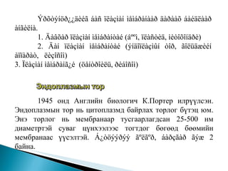 Ýðõòýíöð¿¿äèéã  áàñ  ïëàçìàí ìåìáðàíààð äàðààõ áàéäëààð àíãèëíà.  1.  Äàâõàð ïëàçìàí ìåìáðàíòàé (áººì, ïëàñòèä, ìèòîõîíäðè) 2.  Äàí ïëàçìàí ìåìáðàíòàé (ýíäîïëàçìûí òîð, ãîëüäæèé í àïïàðàò ,  ëèçîñîì ) 3. Ïëàçìàí ìåìáðàíã¿é  (öåíòðîèëü, ðèáîñîì )  1945 онд Английн биологич К.Портер илрүүлсэн.  Эндоплазмын тор нь цитоплазмд байрлах торлог бүтэц юм. Энэ торлог нь мембранаар тусгаарлагдсан 25-500 нм диаметртэй суваг цүнхээлээс тогтдог бөгөөд бөөмийн мембранаас үүсэлтэй. Á¿òöýýðýý ãºëãºð, áàðçãàð ãýæ 2 байна.  