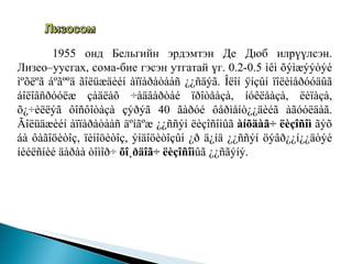 1955 онд Бельгийн эрдэмтэн Де Дюб илрүүлсэн. Лизео–уусгах, сома-бие гэсэн утгатай үг.  0.2-0.5 ìêì õýìæýýòýé ìºõëºã áºãººä ãîëüæäèéí àïïàðàòààñ ¿¿ñäýã. Îëîí ÿíçûí ïîëèìåðóóäûã áîëîâñðóóëæ çàäëàõ ÷àäâàðòàé ïðîòåàçà, íóêëåàçà, ëèïàçà, õ¿÷èëëýã ôîñôîòàçà çýðýã 40 ãàðóé ôåðìåíò¿¿äèéã àãóóëäàã. Ãîëüäæèéí àïïàðàòààñ äºíãºæ ¿¿ññýí ëèçîñîìûã  àíõäàã÷ ëèçîñîì  ãýõ áà ôàãîöèòîç, ïèíîöèòîç, ýíäîöèòîçûí ¿ð ä¿íä ¿¿ññýí öýâð¿¿í¿¿äòýé íèéëñíèé äàðàà òîìîð÷  õî¸ðäîã÷ ëèçîñîì ûã ¿¿ñãýíý.  