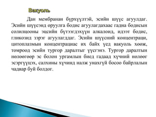 Дан мембранан бүрхүүлтэй, эсийн шүүс агуулдаг. Эсийн шүүсэнд оруулга бодис агуулагдахаас гадна бодисын солилцооны эцсийн бүтээгдэхүүн алкалоид, идээт бодис, гликозид зэрэг агуулагддаг.  Эсийн шүүсний концентраци, цитоплазмын концентрациас их байх үед вакуоль хөөж, томроод эсийн тургор даралтыг үүсгэнэ. Тургор даралтын нөлөөгөөр эс болон ургамлын биед гадаад хүчний нөлөөг эсэргүүцэх, салхины хүчинд налж унахгүй босоо байрлалын чадвар буй болдог.  
