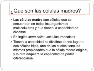 ¿Qué son las células madres?
 Las células madre son células que se

encuentran en todos los organismos
multicelulares y que tienen la capacidad de
dividirse.
 En inglés stem cells : «células troncales»
 Tienen la capacidad de dividirse dando lugar a
dos células hijas, una de las cuales tiene las
mismas propiedades que la célula madre original,
y la otra adquiere la capacidad de poder
diferenciarse.

 