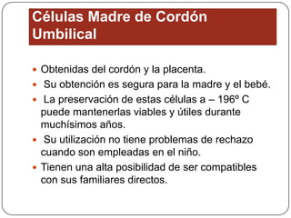 Células Madre de Cordón
Umbilical
 Obtenidas del cordón y la placenta.
 Su obtención es segura para la madre y el bebé.
 La preservación de estas células a – 196º C

puede mantenerlas viables y útiles durante
muchísimos años.
 Su utilización no tiene problemas de rechazo
cuando son empleadas en el niño.
 Tienen una alta posibilidad de ser compatibles
con sus familiares directos.

 