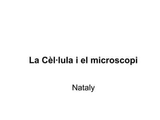 La Cèl·lula i el microscopi


          Nataly
 
