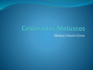 Melany Osorio Giron 
 