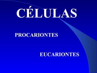 CÉLULAS
PROCARIONTES
EUCARIONTES
 