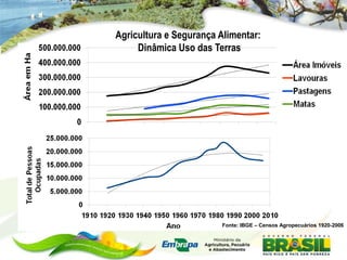 Agricultura e Segurança Alimentar:
     Dinâmica Uso das Terras




                        Fonte: IBGE – Censos Agropecuários 1920-2006
 
