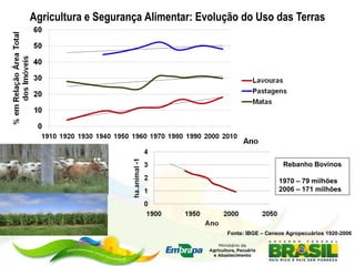Agricultura e Segurança Alimentar: Evolução do Uso das Terras




                                                           Rebanho Bovinos

                                                          1970 – 79 milhões
                                                          2006 – 171 milhões




                                        Fonte: IBGE – Censos Agropecuários 1920-2006
 