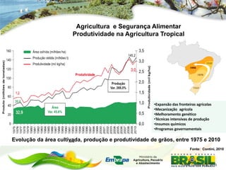 Agricultura e Segurança Alimentar
                       Produtividade na Agricultura Tropical




                                                      •Expansão das fronteiras agrícolas
                                                      •Mecanização agrícola
                                                      •Melhoramento genético
                                                      •Técnicas intensivas de produção
                                                      •Insumos químicos
                                                      •Programas governamentais

Evolução da área cultivada, produção e produtividade de grãos, entre 1975 e 2010
                                                                            Fonte: Contini, 2010



                                                                      Fonte: Contini et al, 2010
 