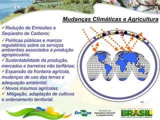 Mudanças Climáticas e Agricultura
Redução de Emissões e
Seqüestro de Carbono;
Políticas públicas e marcos
regulatórios sobre os serviços
ambientais associados à produção
agropecuária;
Sustentabilidade da produção,
mercados e barreiras não tarifárias;
Expansão da fronteira agrícola,
mudanças de uso das terras e
adequação ambiental;
Novos insumos agrícolas;
 Mitigação, adaptação de cultivos
e ordenamento territorial.                             IPCC
 