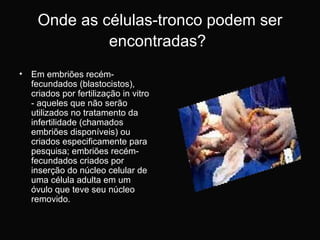 Onde as células-tronco podem ser encontradas?   Em embriões recém-fecundados (blastocistos), criados por fertilização in vitro - aqueles que não serão utilizados no tratamento da infertilidade (chamados embriões disponíveis) ou criados especificamente para pesquisa; embriões recém-fecundados criados por inserção do núcleo celular de uma célula adulta em um óvulo que teve seu núcleo removido. 