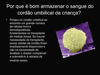 Por que é bom armazenar o sangue do cordão umbilical da criança?   Porque no cordão umbilical se encontra um grande número de células-tronco hematopoiéticas, fundamentais no transplante de medula óssea. Se houver necessidade do transplante, essas células de cordão ficam imediatamente disponíveis e não há necessidade de localizar o doador compatível e submetê-lo à retirada da medula óssea .  
